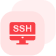 Domain Page 11 icon 2 Copy